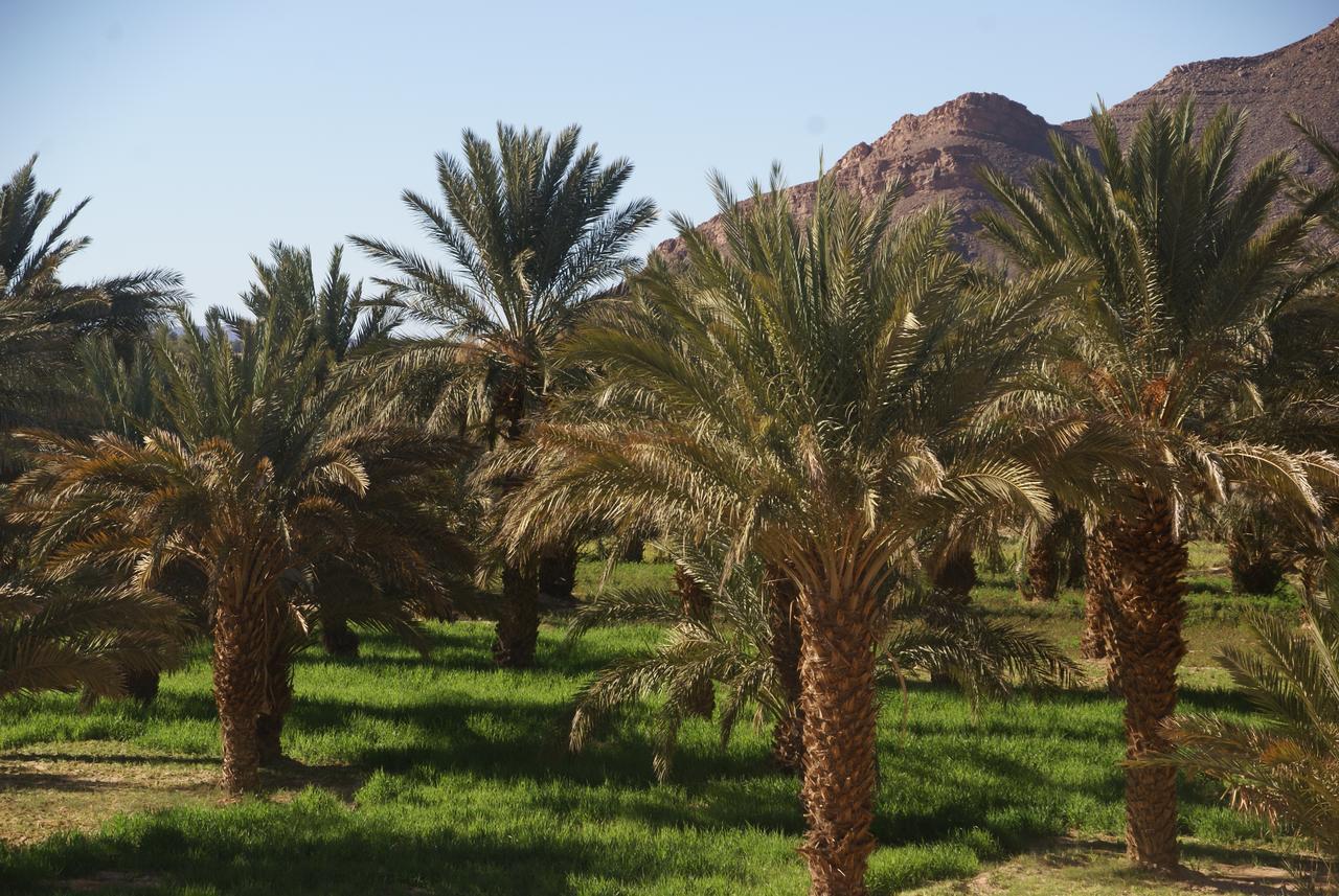 Riad Les Jardins De Tafraoute Foum Mharech Exterior photo